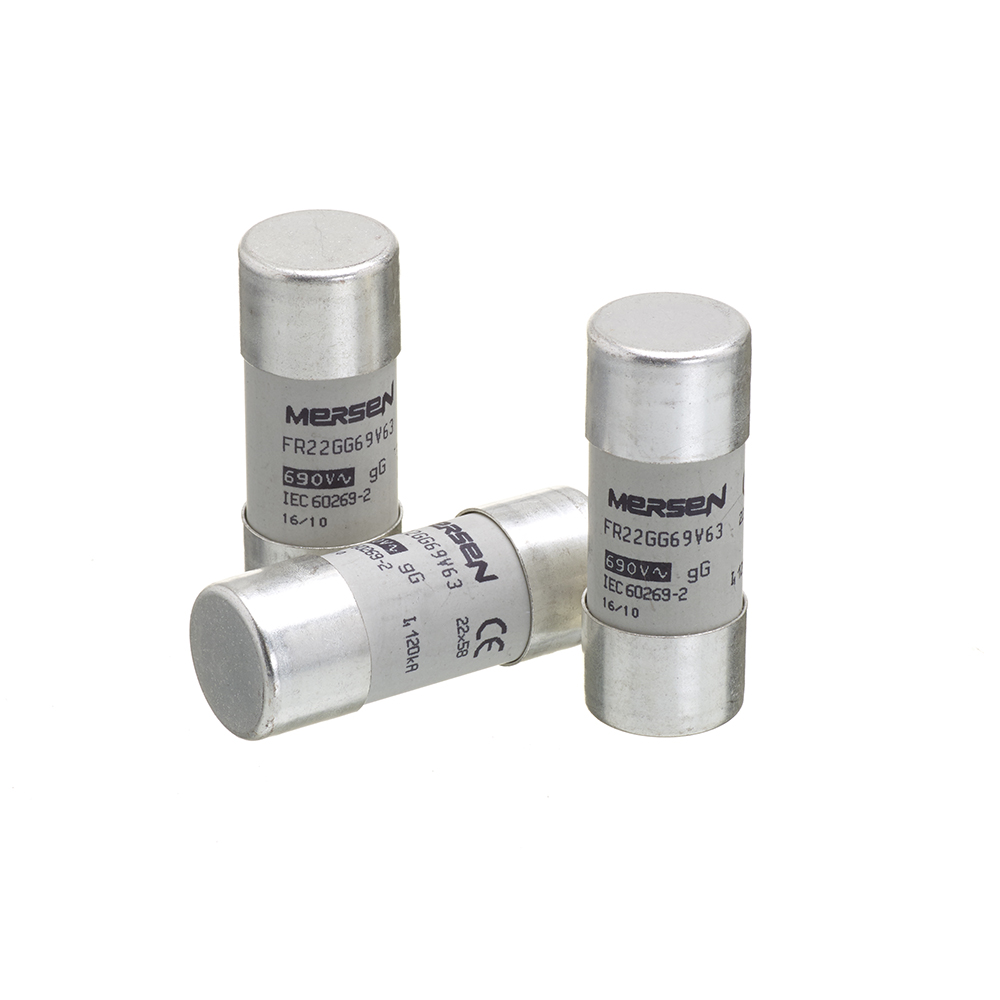 22 x 58mm gL Cylindrical Fuse | 100A | Mersen