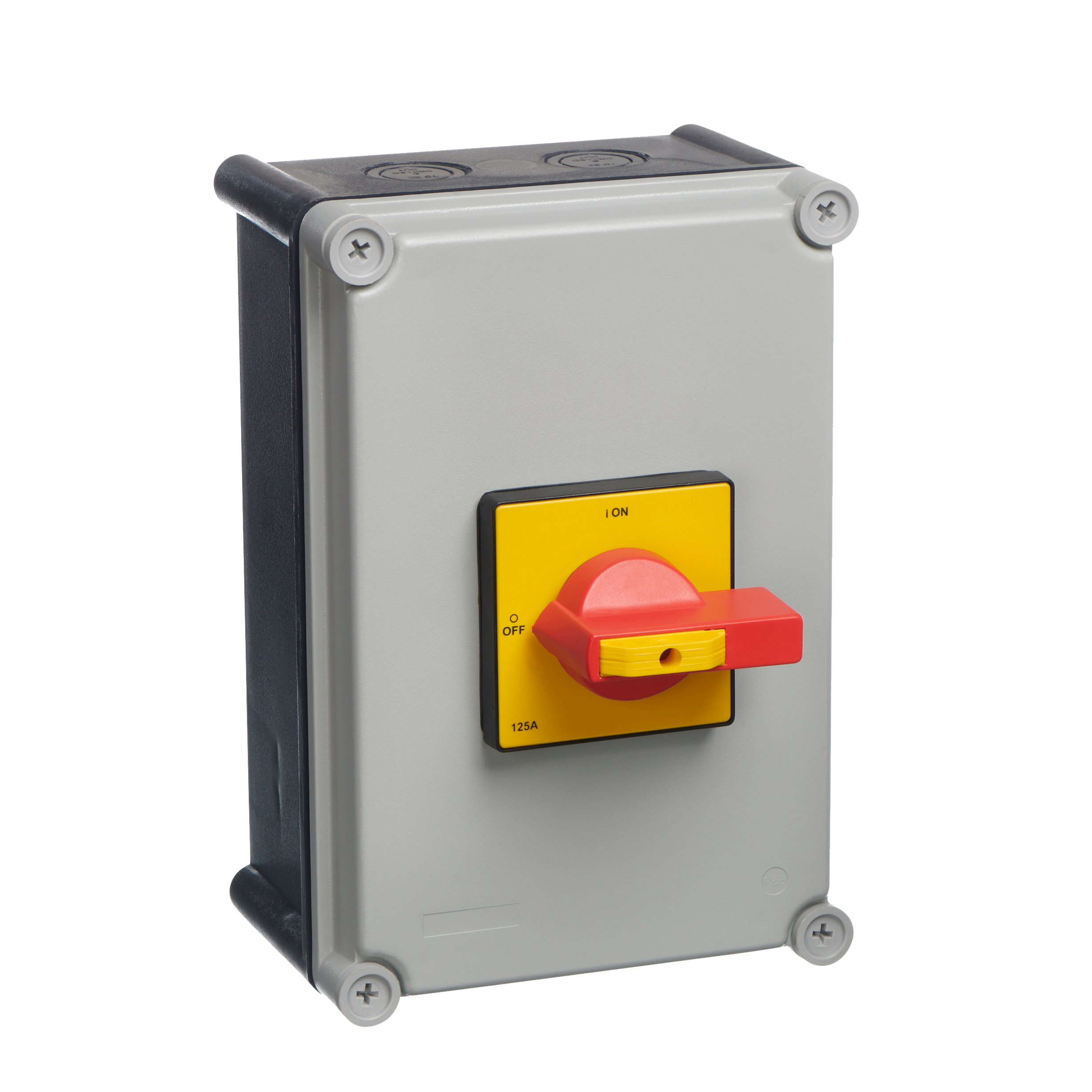 IP65 Enclosed Insulated Switch-Disconnectors | 6 Pole, 25A | Europa
