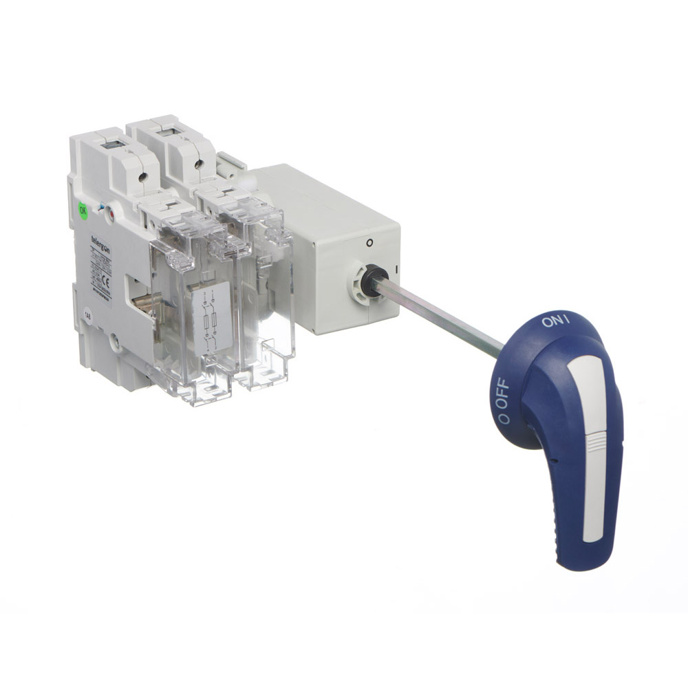 Door Interlock Switch Fuse | 2 Pole, 125A | Europa